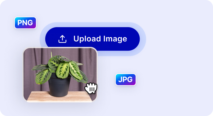 Загрузите свою фотографию для редактирования фона